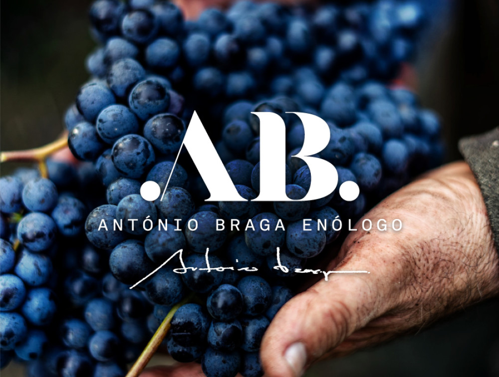 António Braga